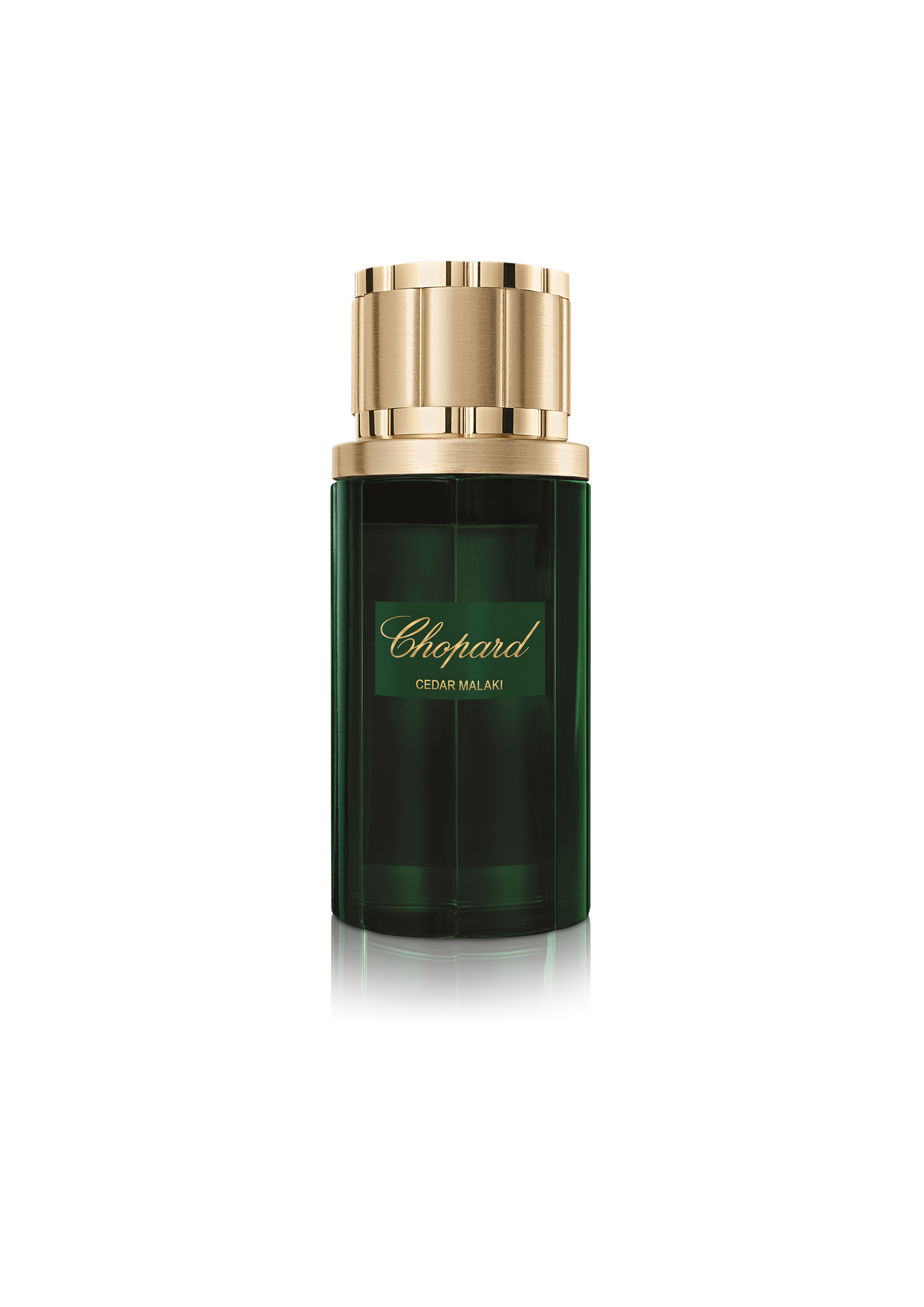 Cedar Malaki