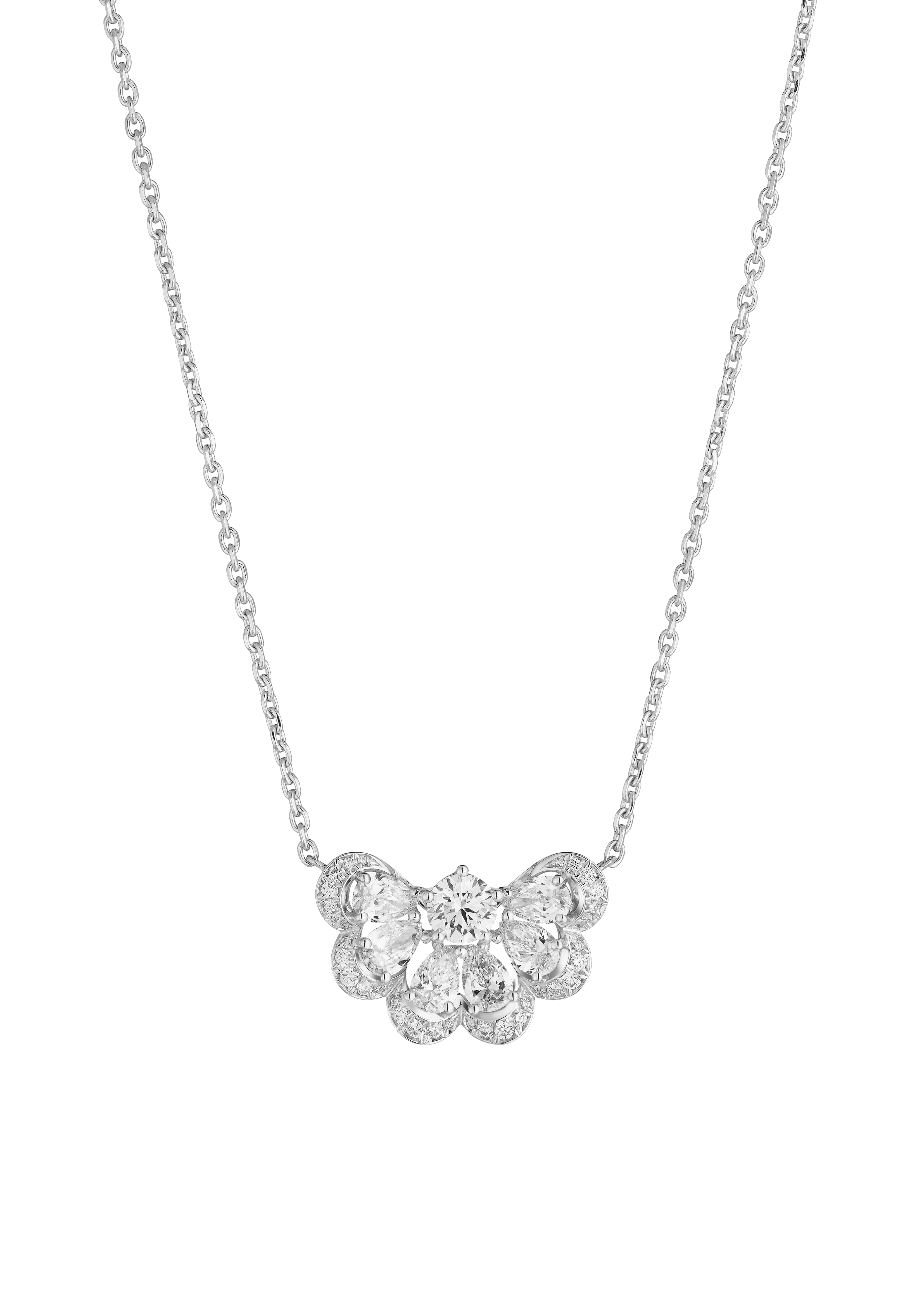 Precious Lace Nuage