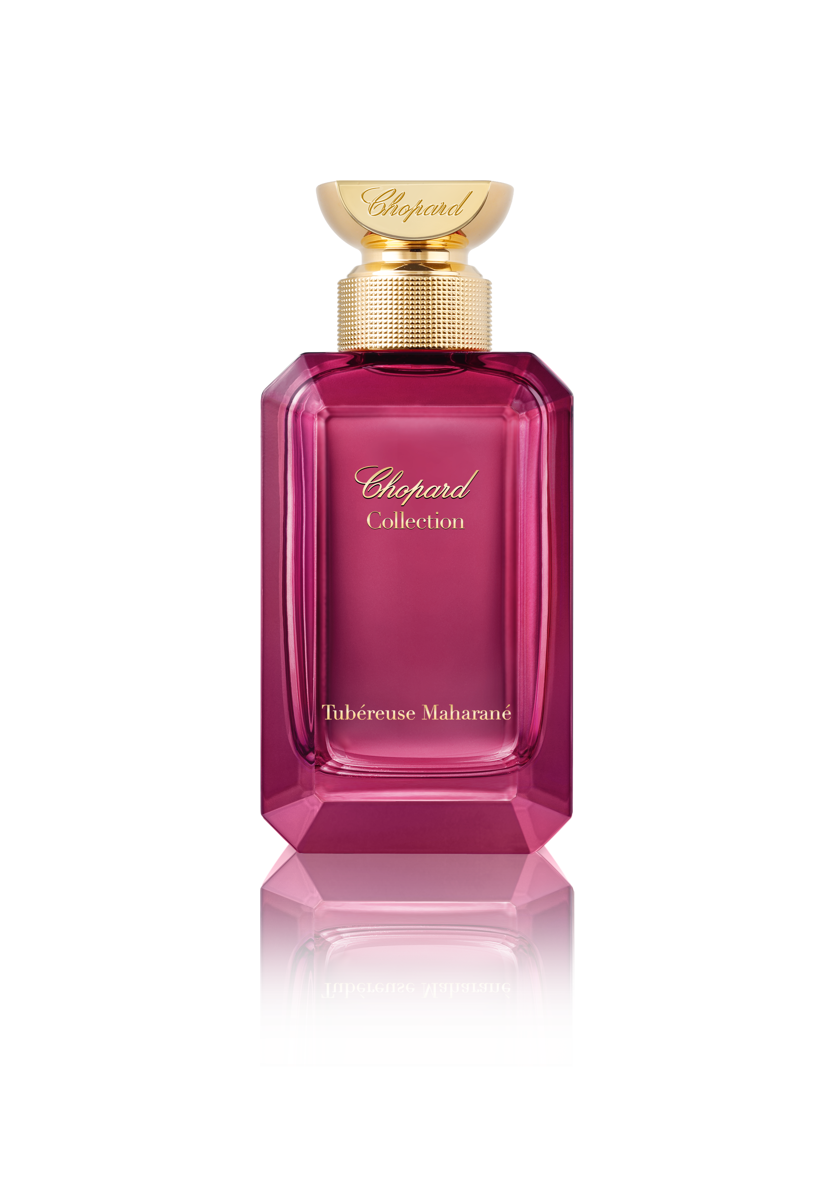 Tubéreuse Maharané