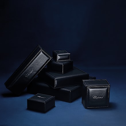 Luxury gifts: watch and jewelry boxes