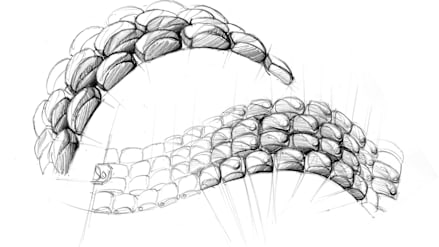 Design study of the Happy Sport The First pebble bracelet inspired by sea-smoothed pebbles and organic forms.