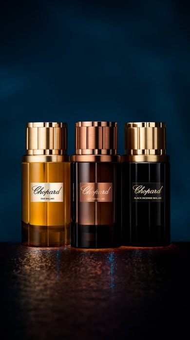 Chopard men perfume collection