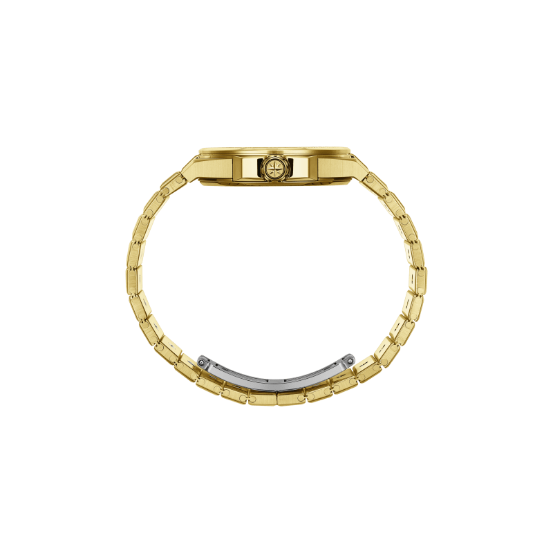 Chopard Alpine Eagle系列 男人  watch SIDE
