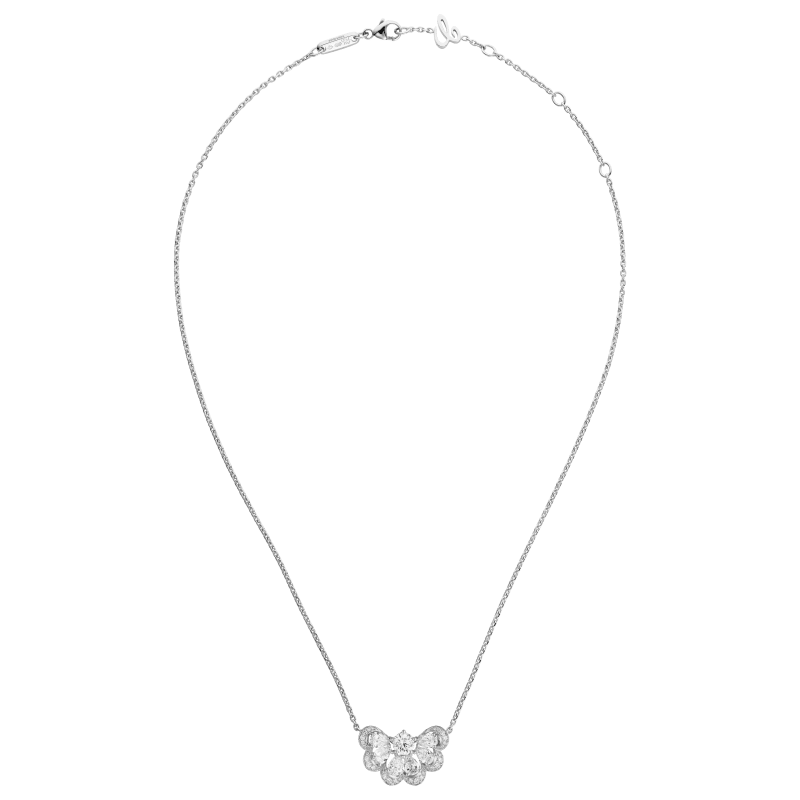 Precious Lace Nuage