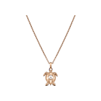 Happy Diamonds Turtle