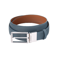 Classic belt