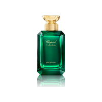 MIEL D'ARABIE