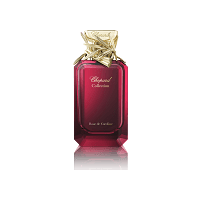ROSE DE CAROLINE