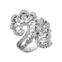 Precious Lace Vague