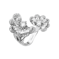 Precious Lace Nuage
