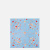 HAPPY HEARTS SCARF